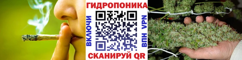 где купить наркоту  Катайск  Бошки марихуана план 